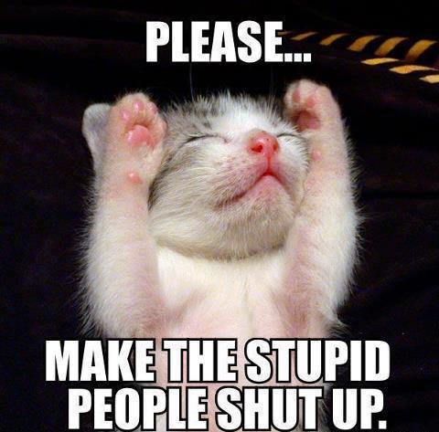 please_make_the_stupid_people_shut_up__b